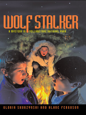 Mysteries in Our National Parks - ebook
